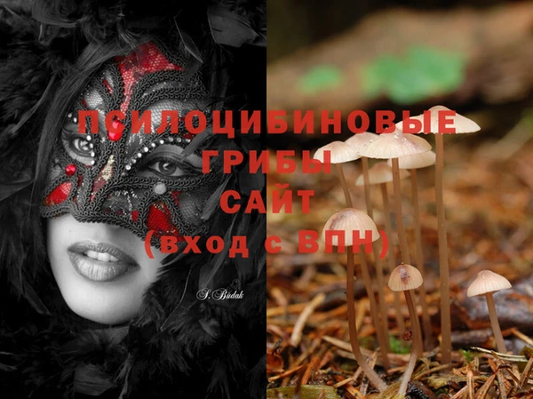 молекула духа Бугульма
