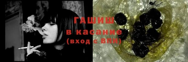 spice Богородицк