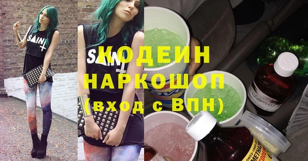 apvp Бородино