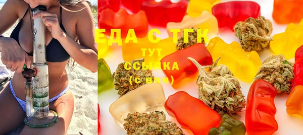 spice Богородицк