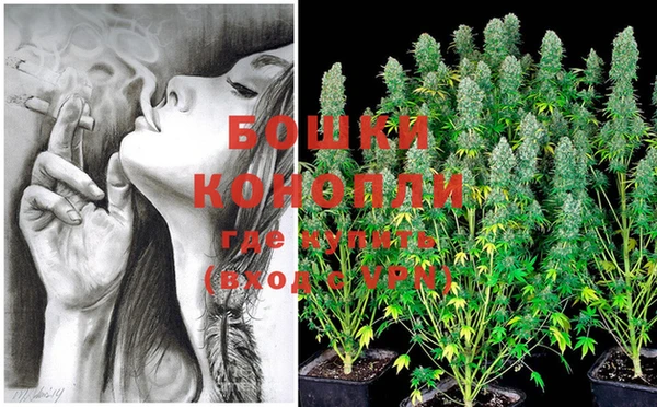 молекула духа Бугульма