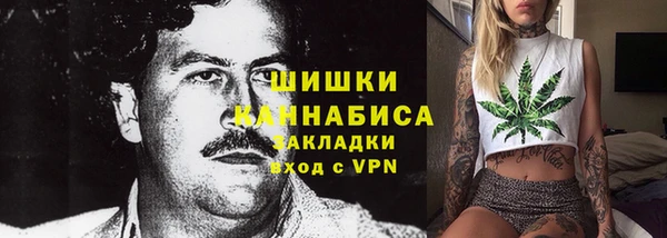 spice Богородицк
