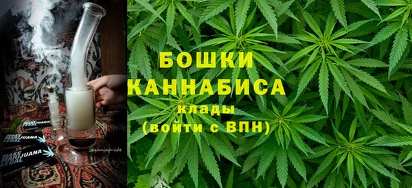 молекула духа Бугульма